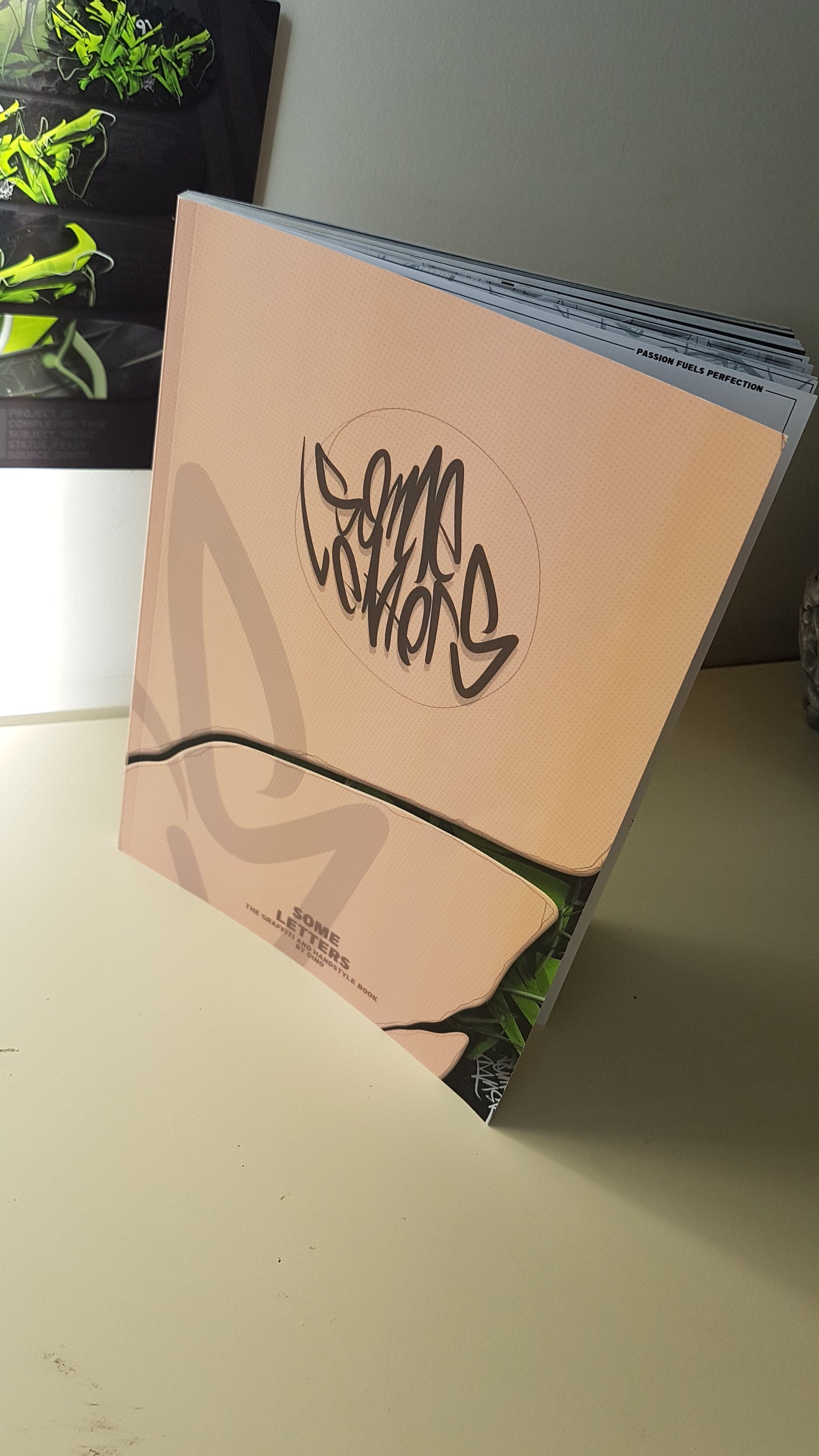 Some letters 1st edition - The Graffiti and Handstyle Book by Dino