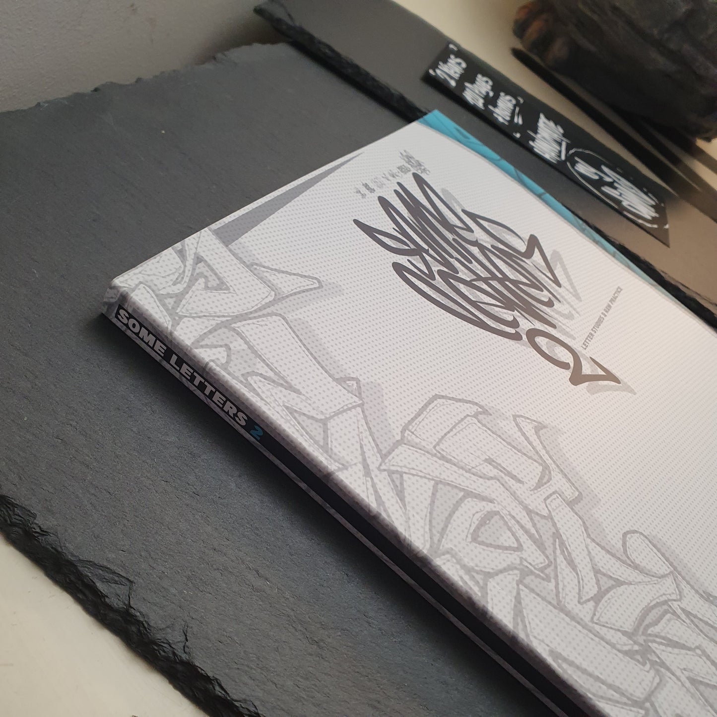 Some letters 2 - 120 pages +bonus / Letter studies and raw practice artbook.